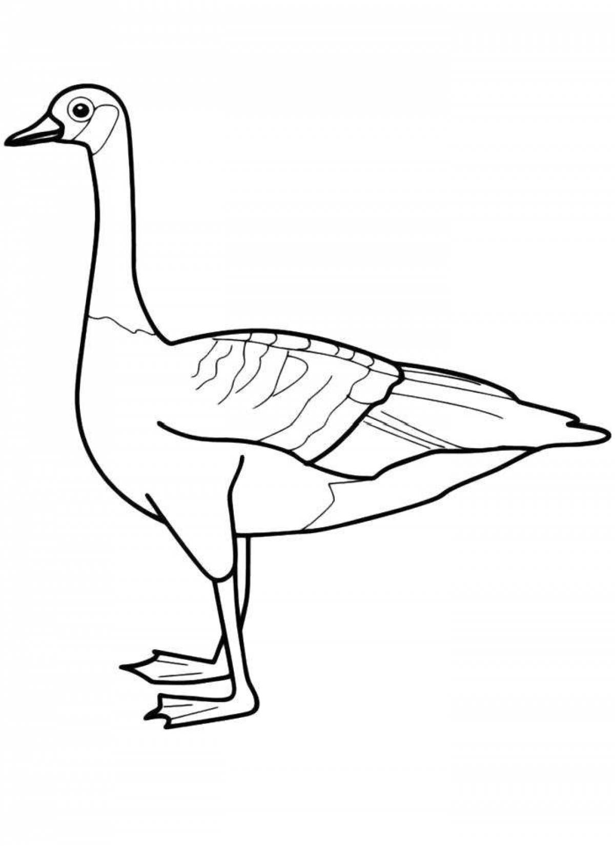 Fabulous goose coloring pages for kids
