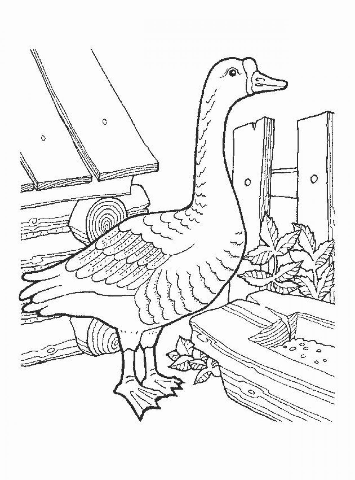 Coloring book shiny goose
