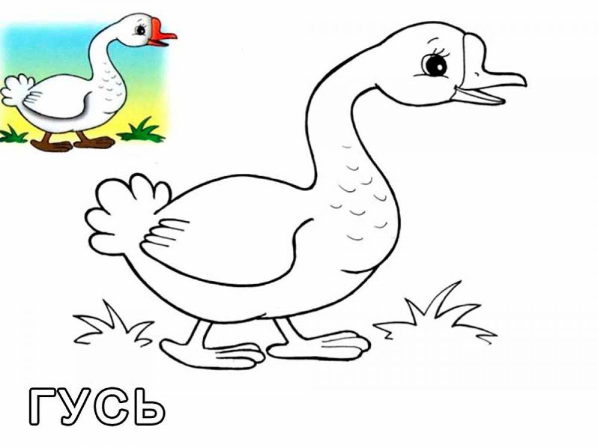 Coloring book shining goose for kids