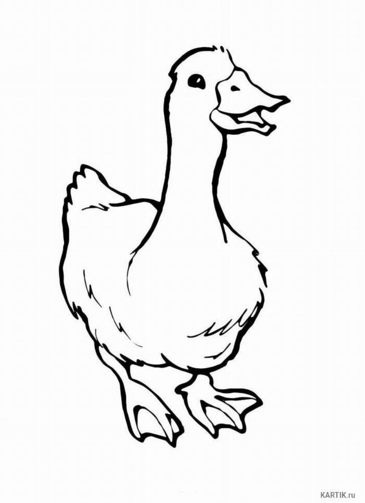 Animated goose coloring page for kids
