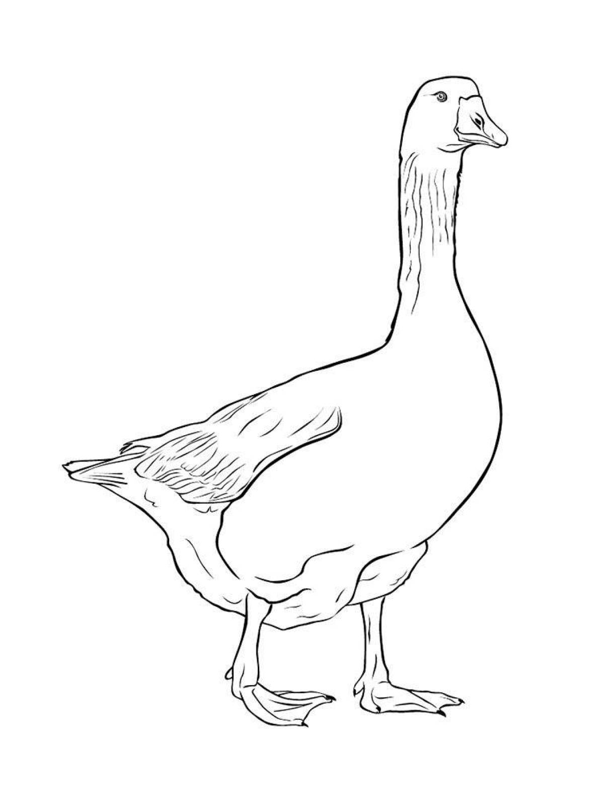 Playtime goose coloring page for kids