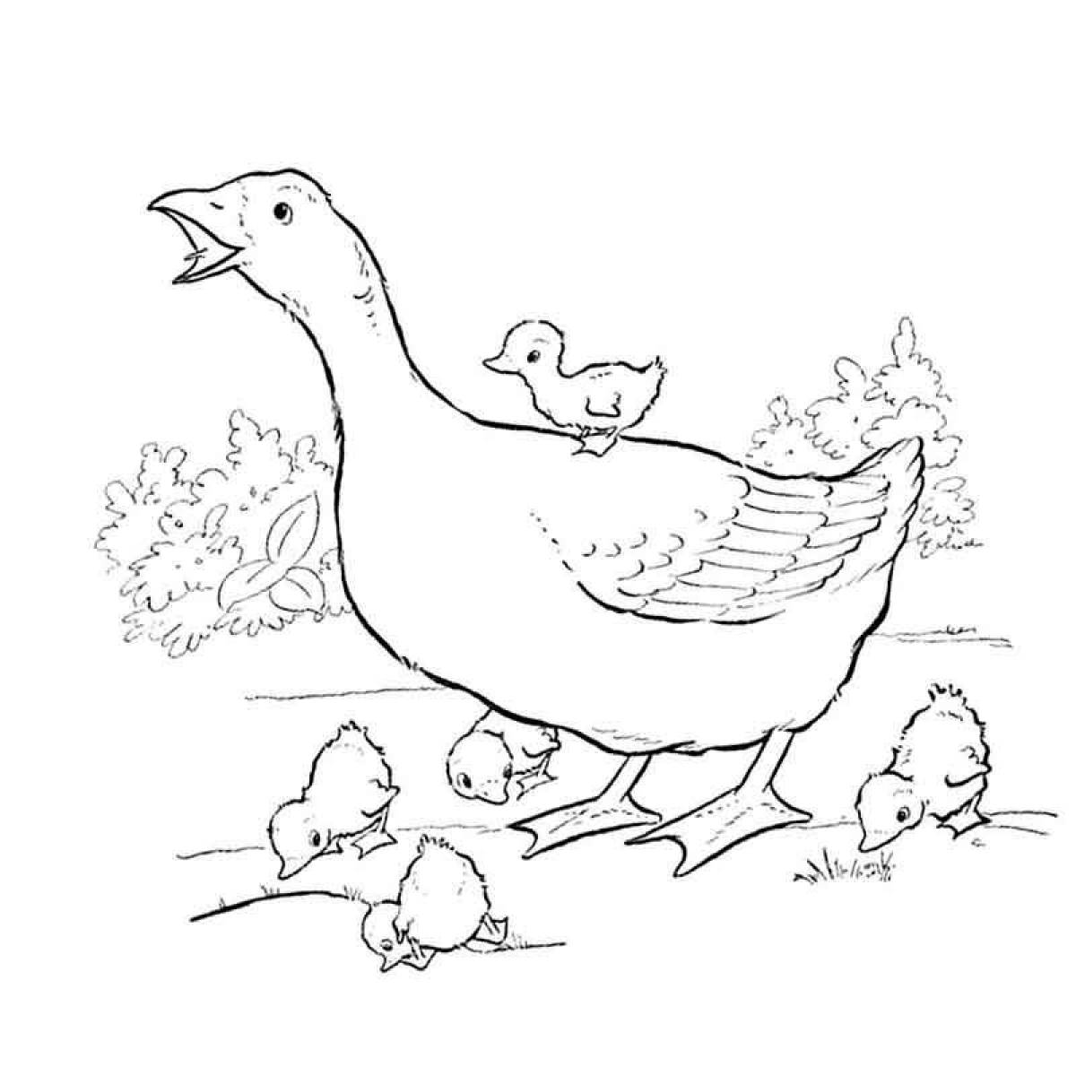 Fun goose coloring book for kids