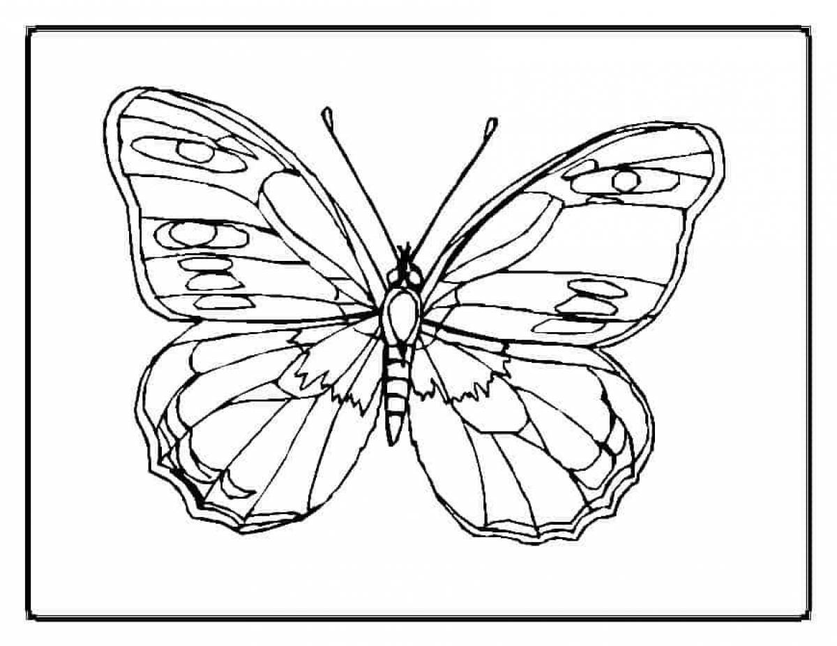 Картинки раскраски бабочки для детей черно белые распечатать