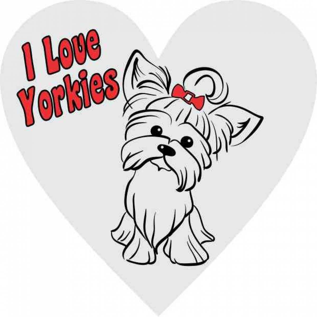 Раскраски собаки Йоркширский терьер с бантиком
