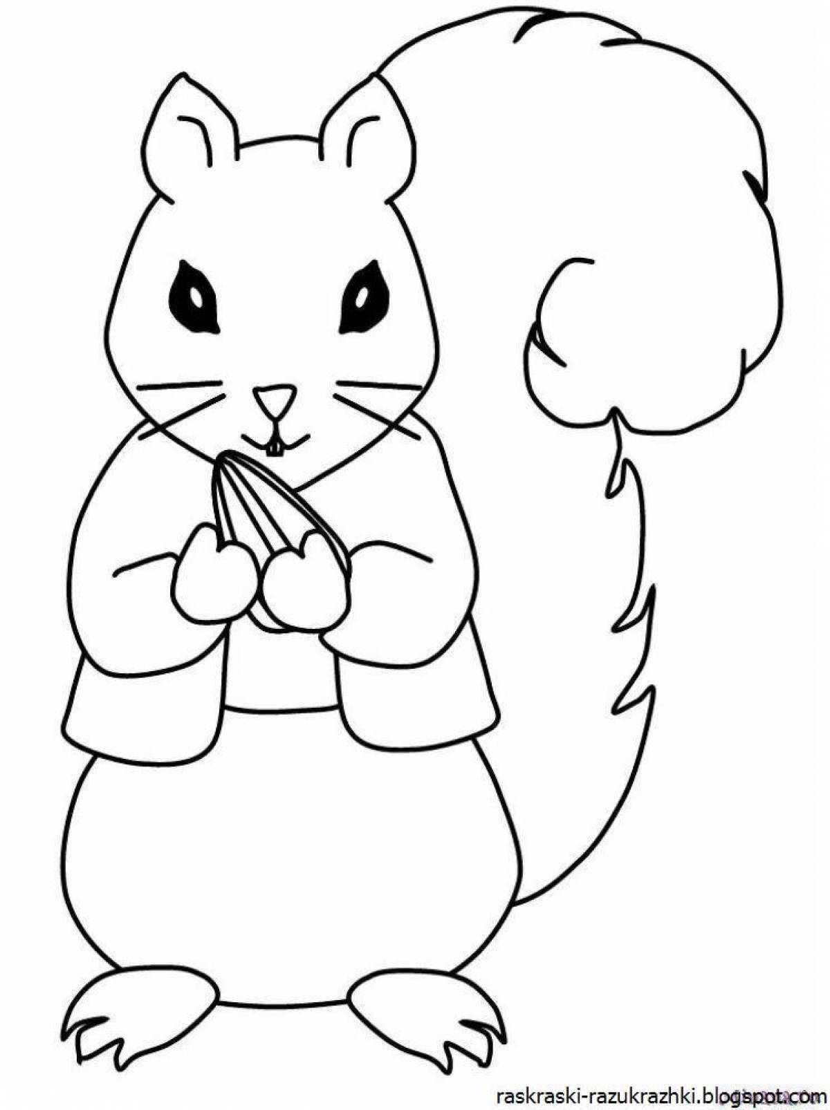 Live squirrel coloring for kids