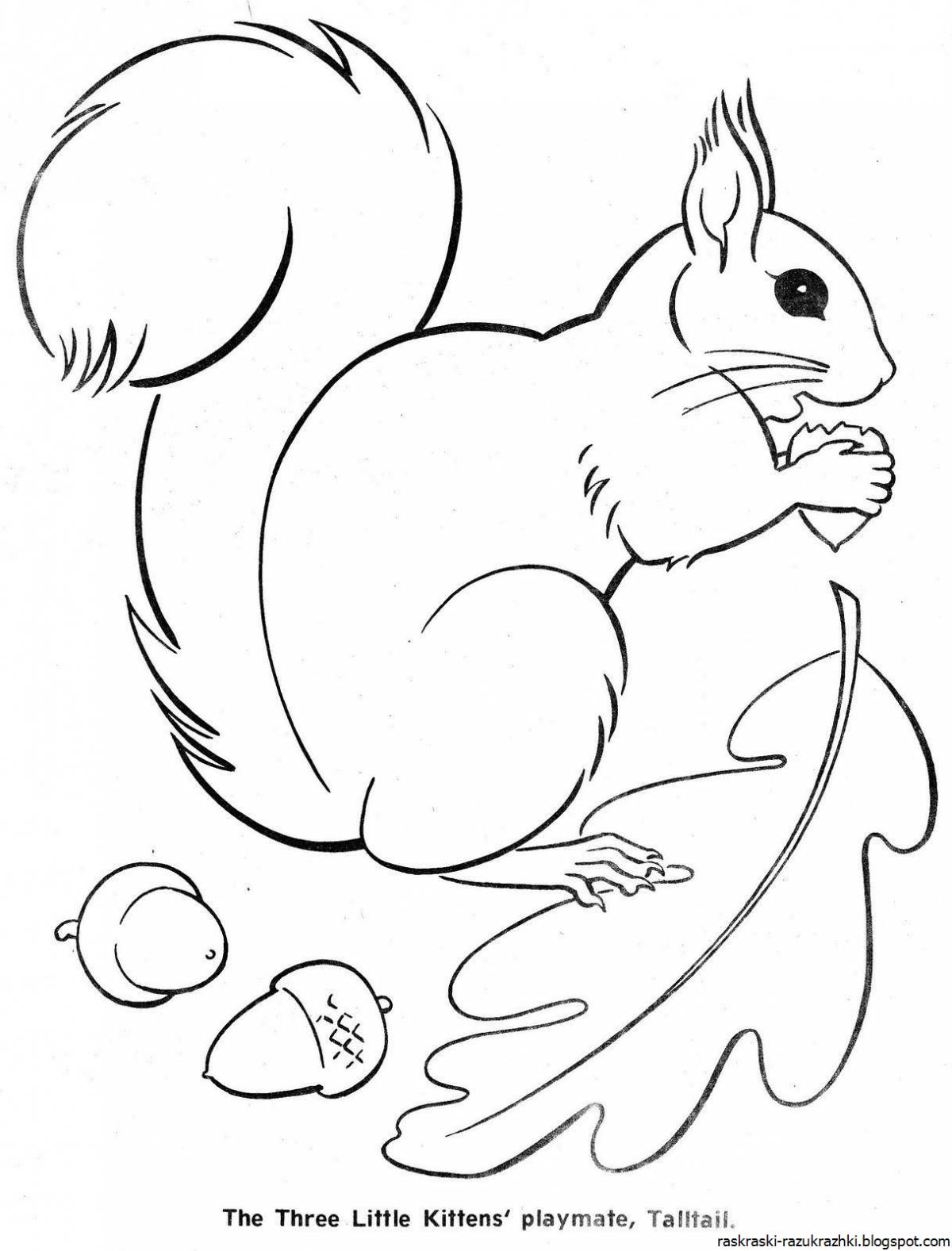 Giggly squirrel coloring book for kids
