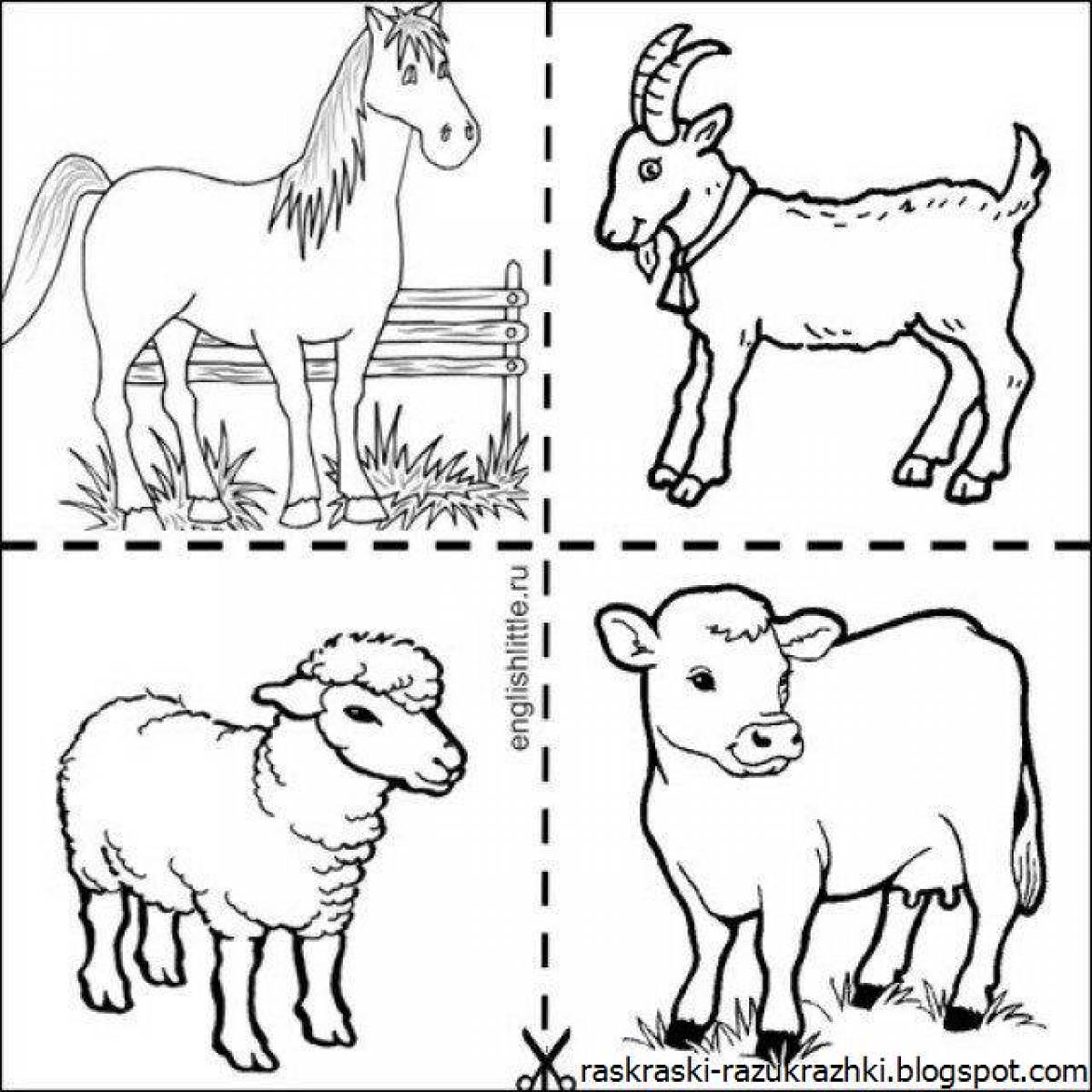 Fancy pet coloring pages for 3-4 year olds