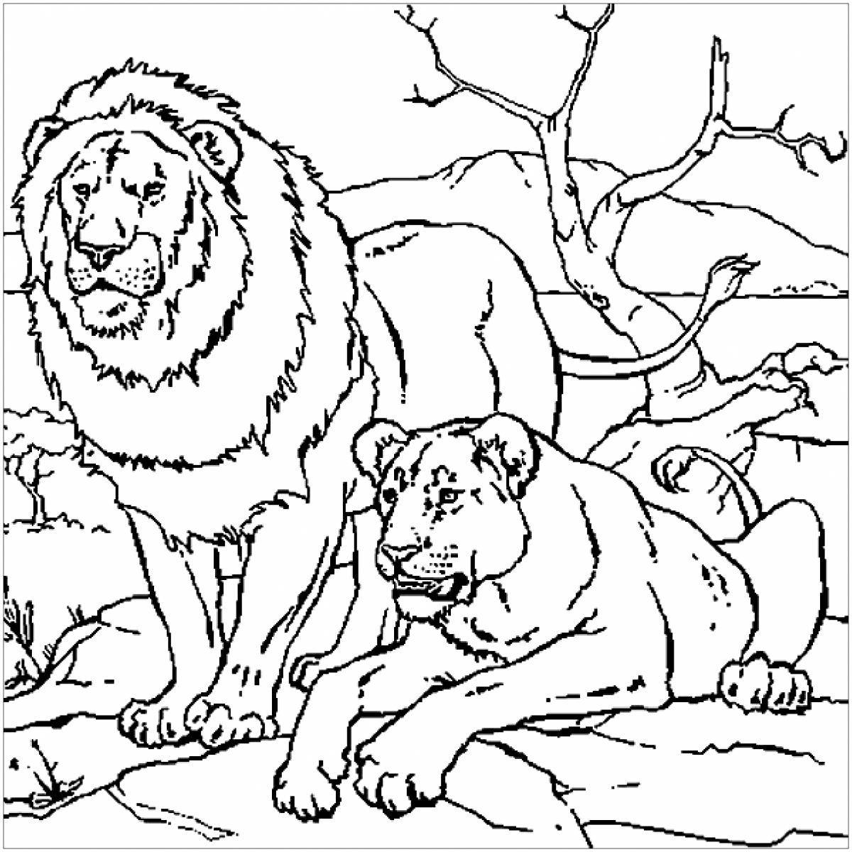 Раскраска ослепительный лев