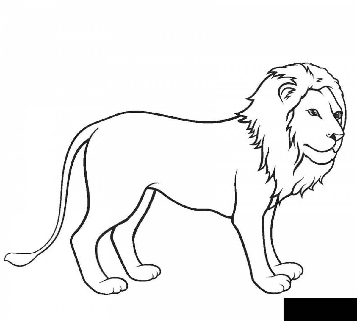 Lion #3