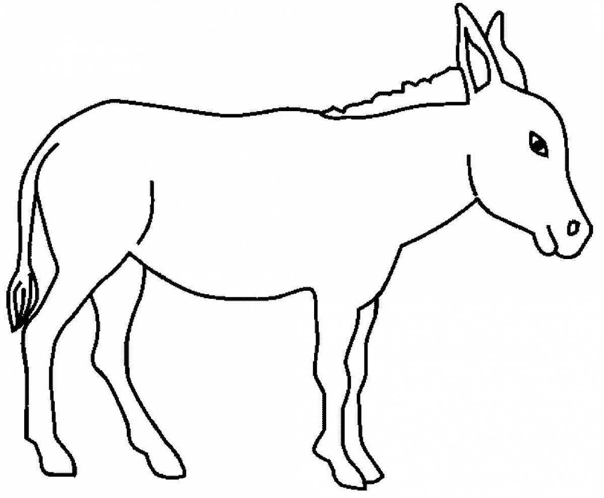Attractive donkey coloring