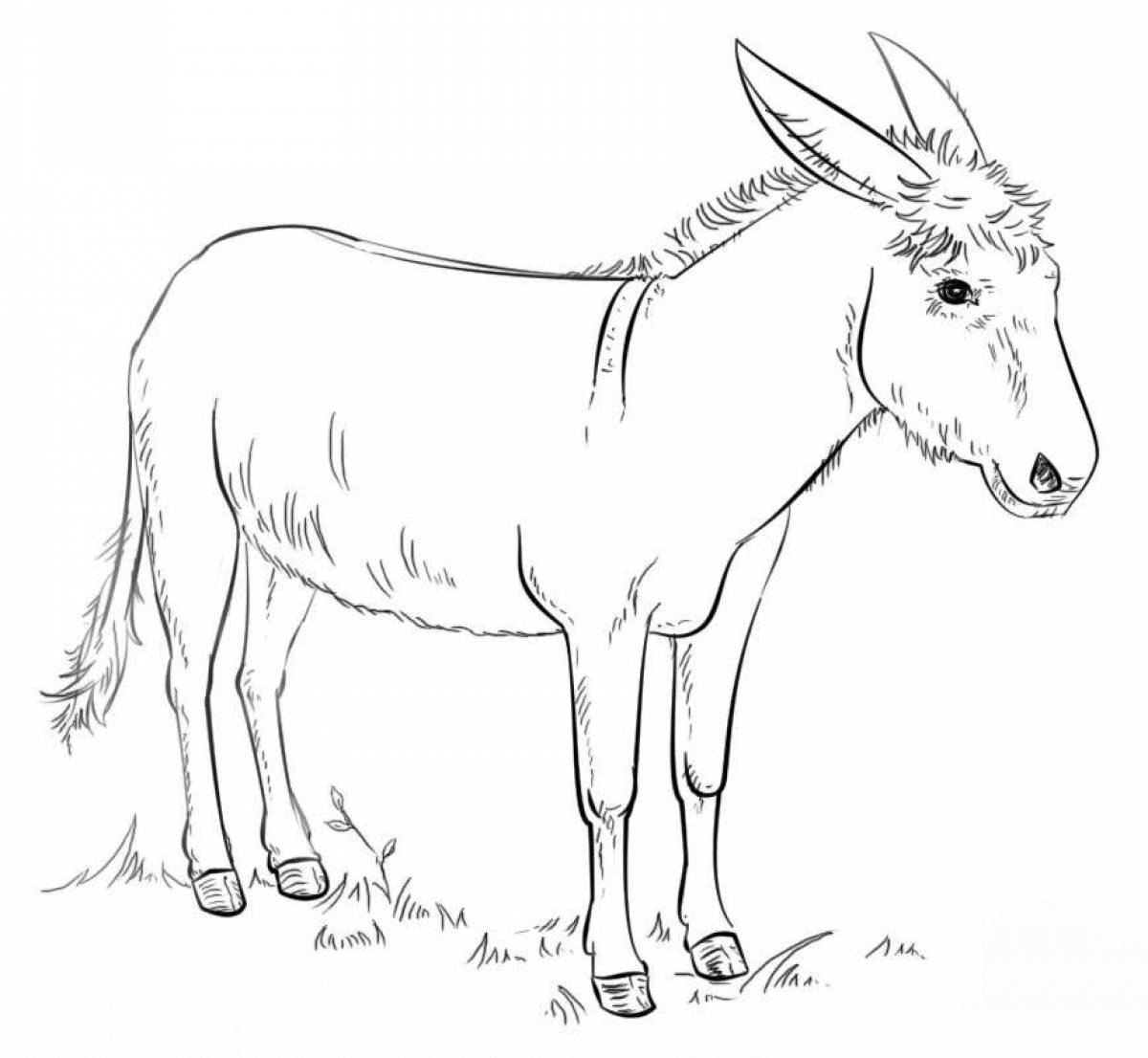 Humorous coloring donkey