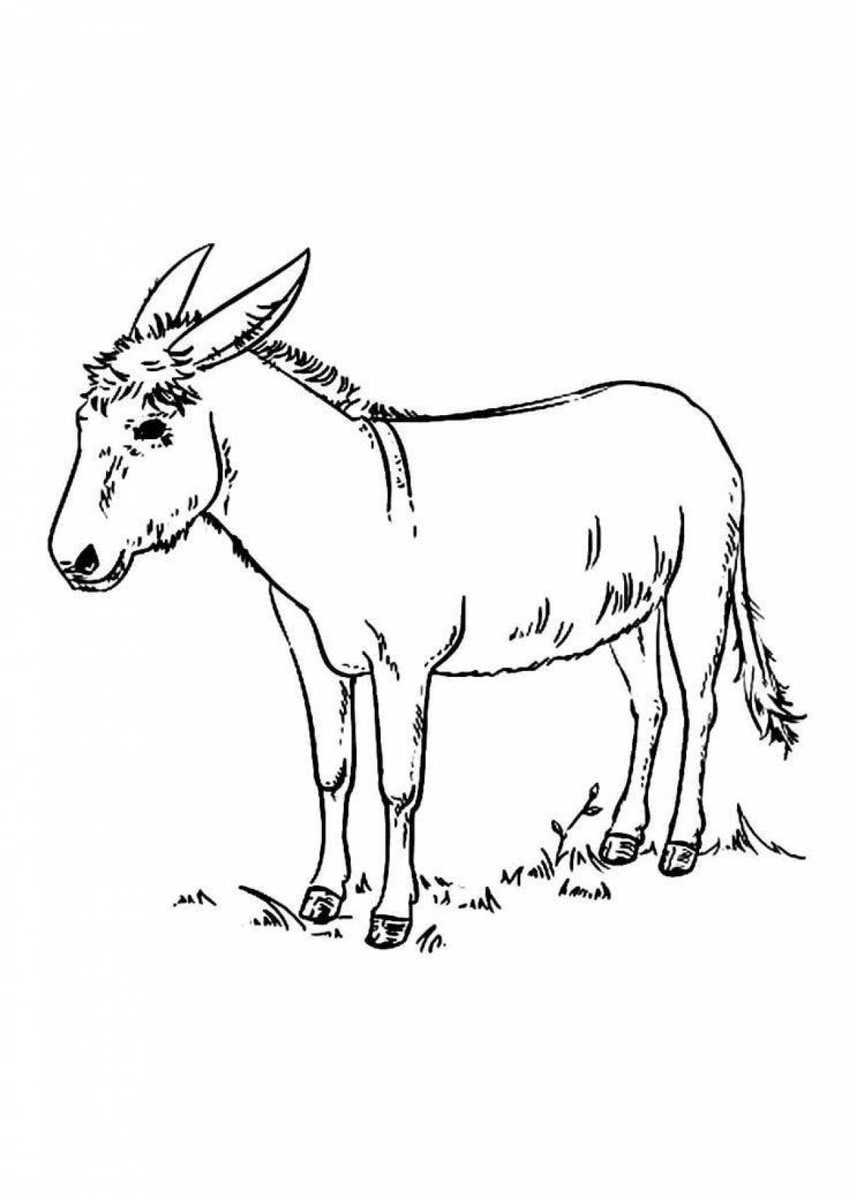 Donkey #7