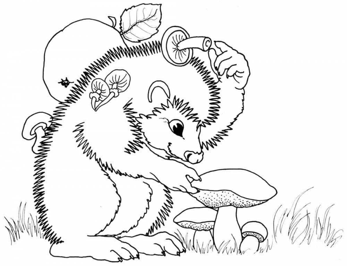 Coloring book dazzling hedgehog for kids