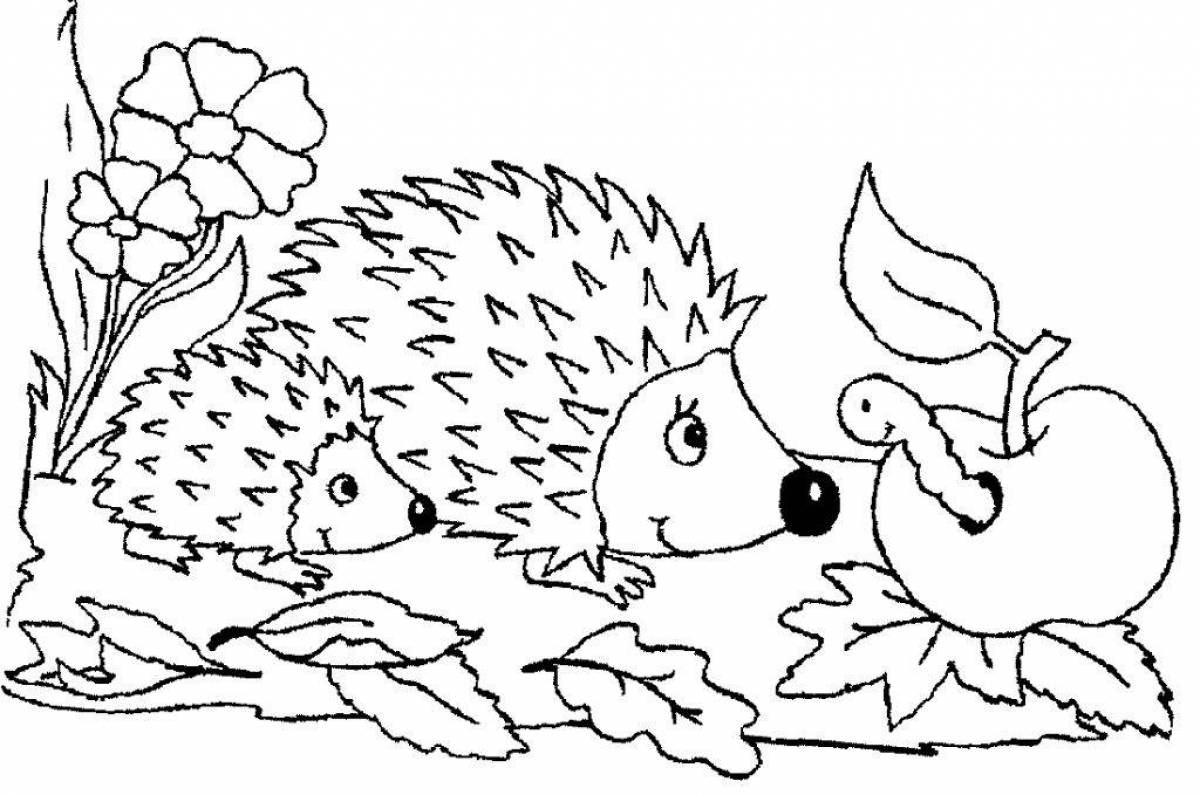 Funny hedgehog coloring pages for kids