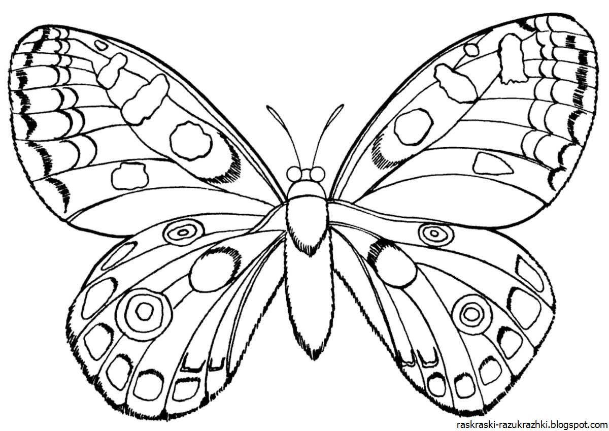 Раскраска сияющая бабочка для детей 6-7 лет