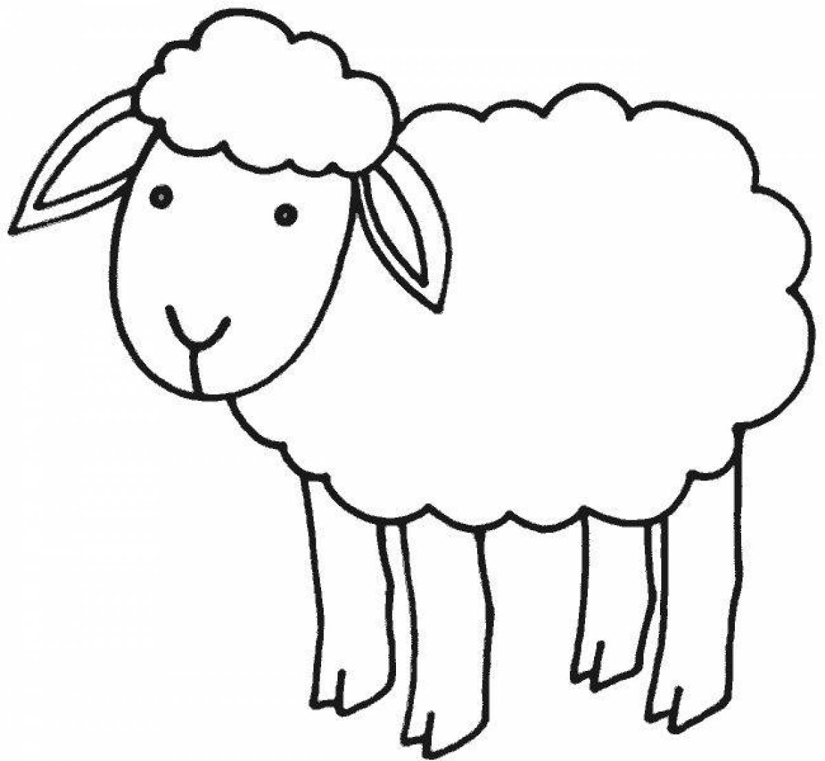 Exquisite sheep coloring for kids