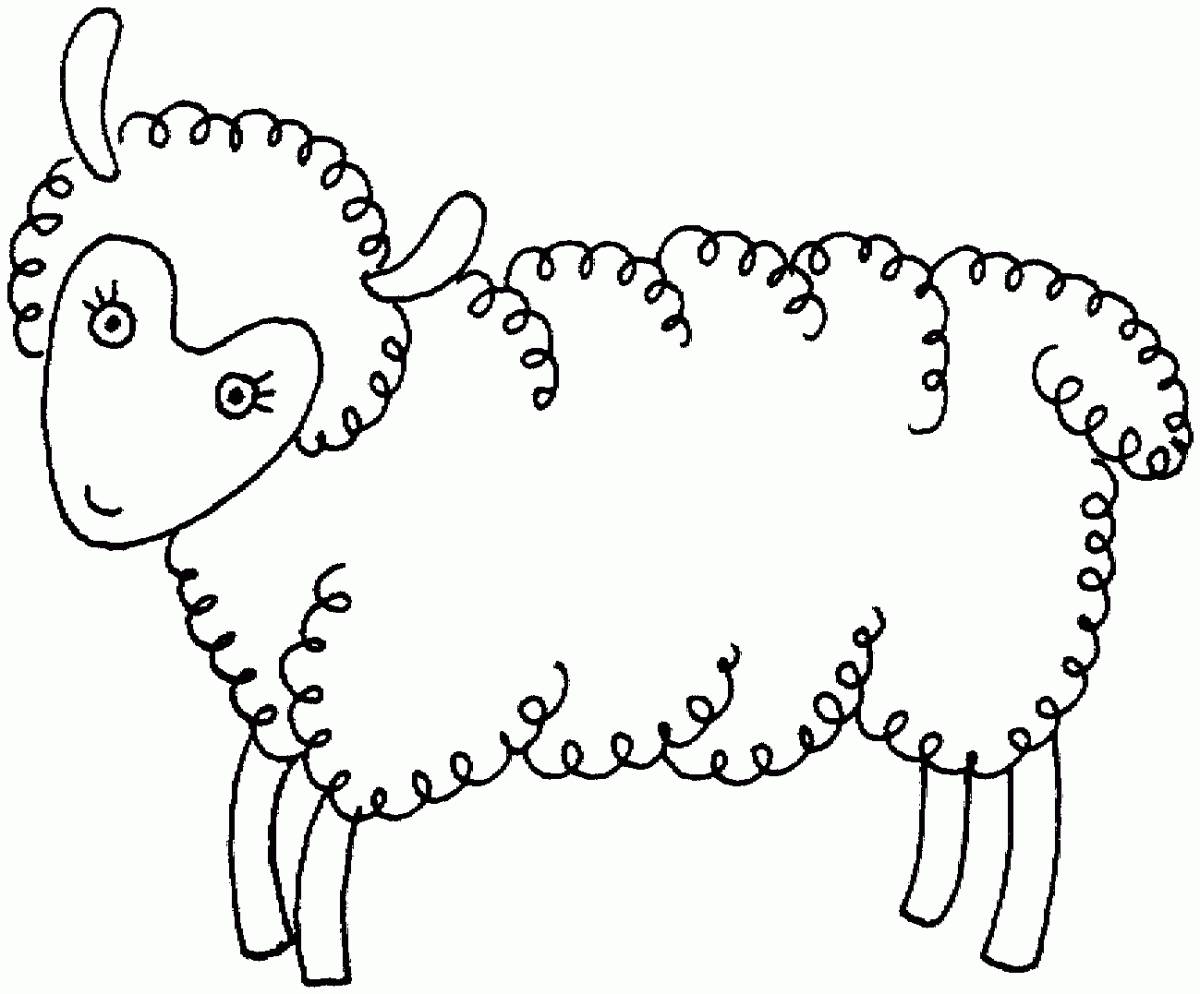Sheep for kids #7