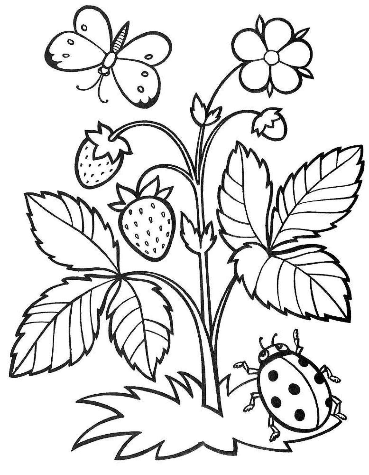 Children's coloring strawberries