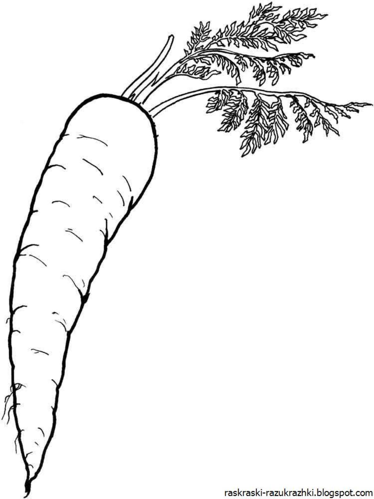 Colorful carrot coloring book for beginners