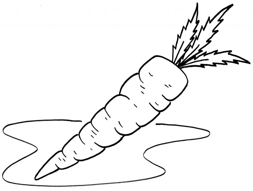 Красочная морковная раскраска для семиклассников