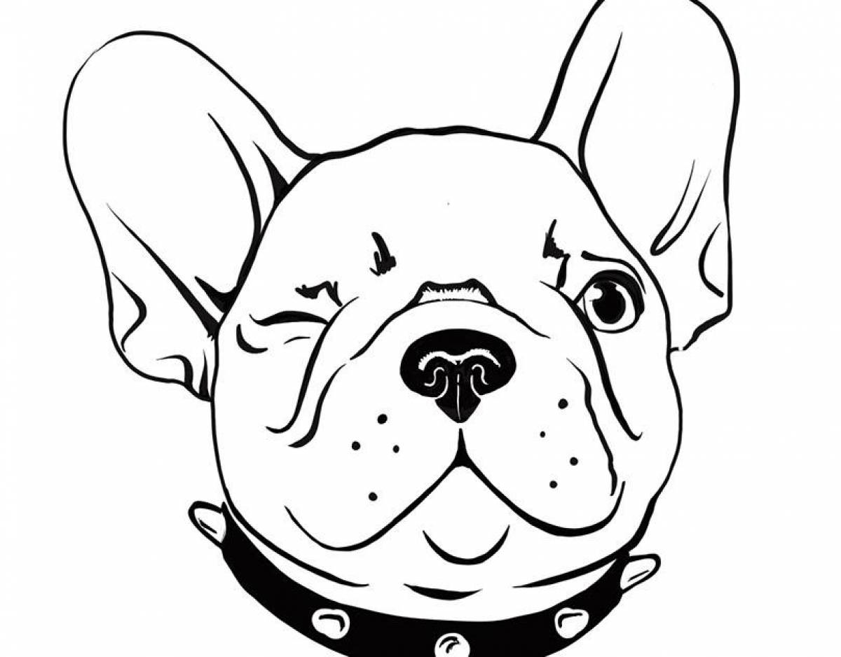 Coloring page funny french bulldog