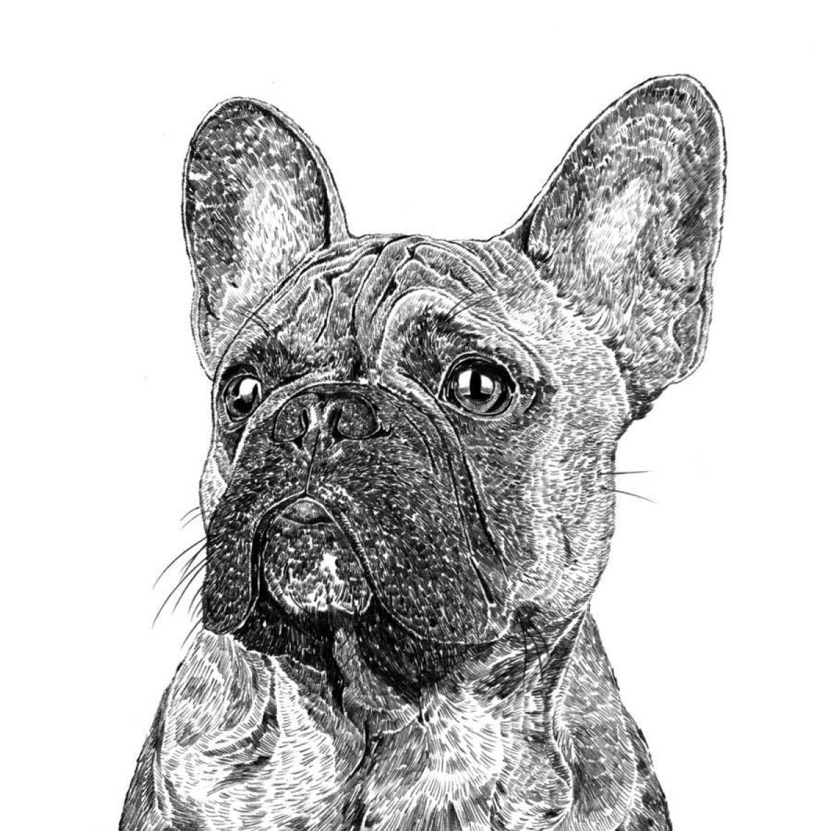 Coloring page graceful french bulldog