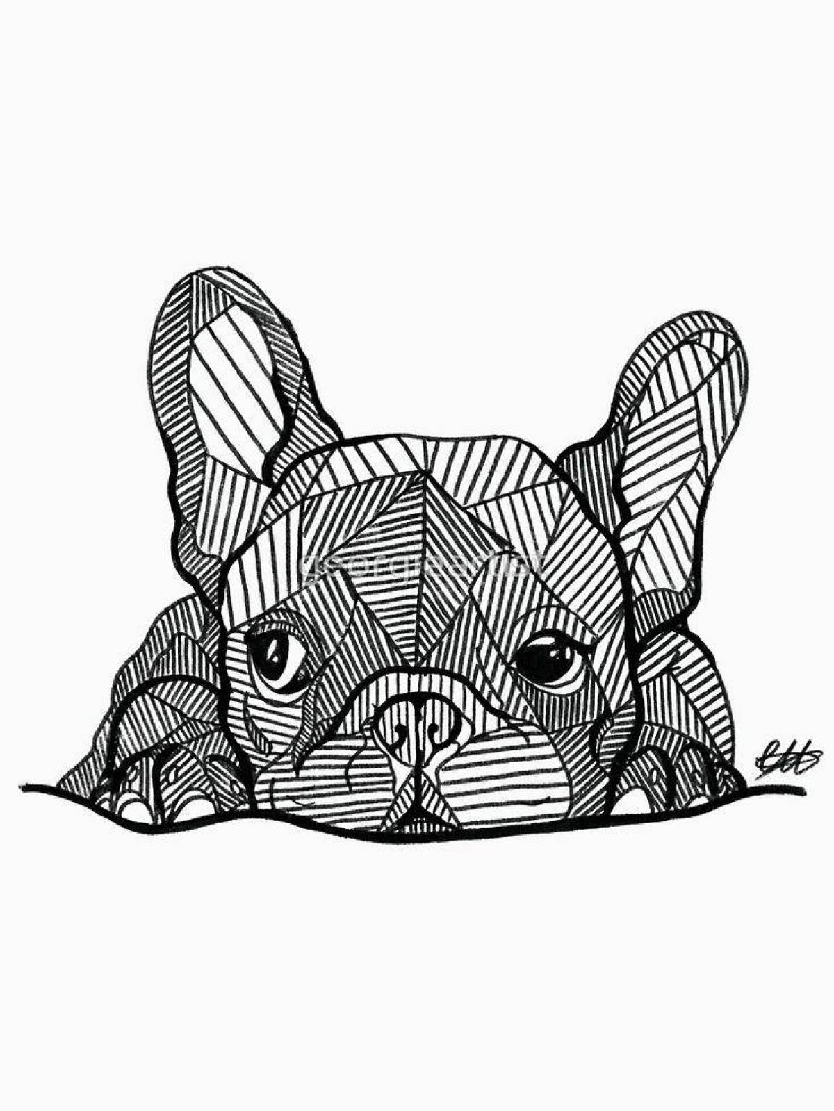 Alert french bulldog coloring book