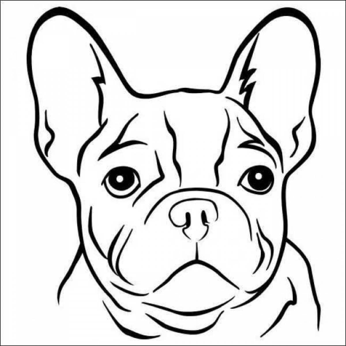 Coloring book smart french bulldog
