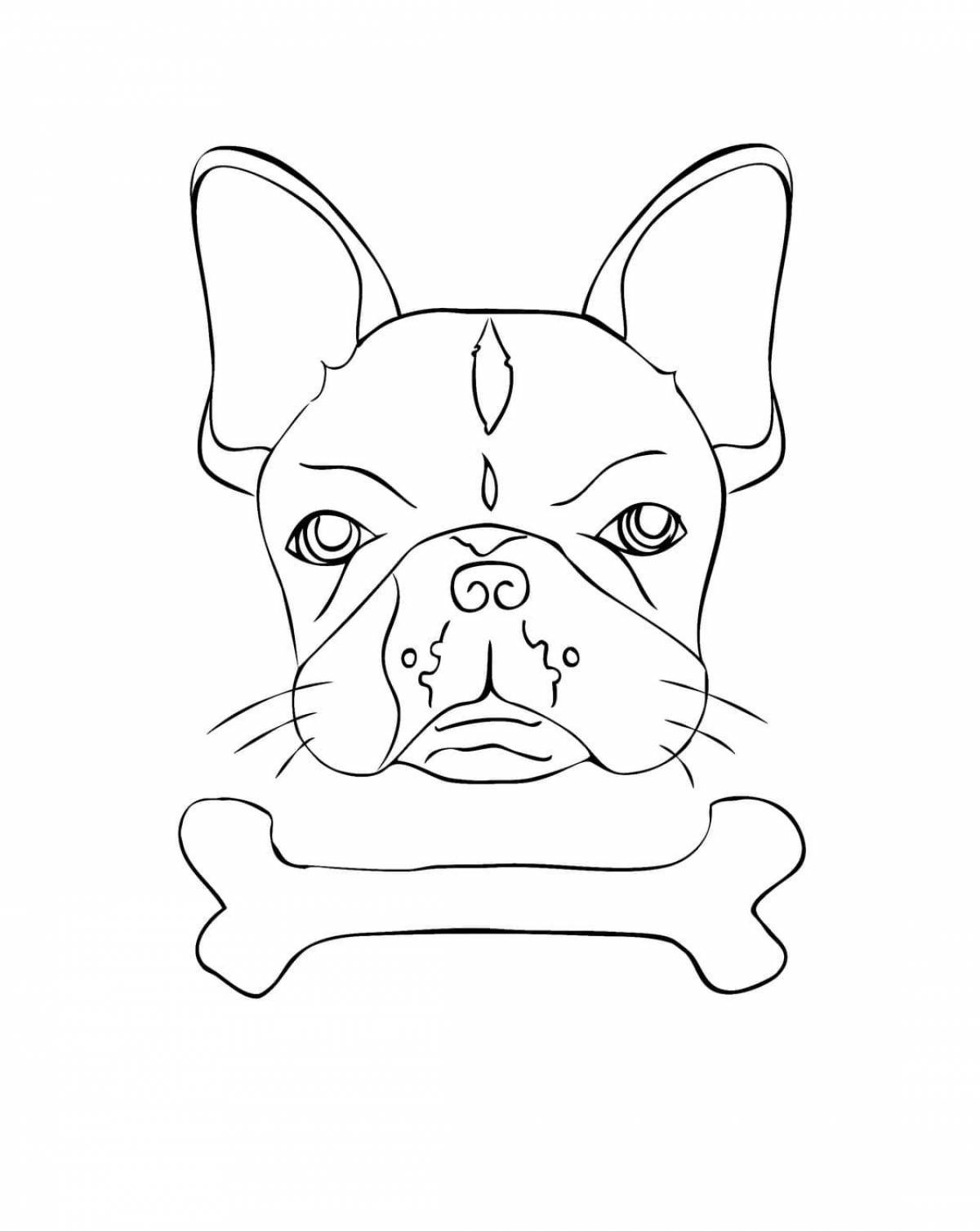 Gorgeous french bulldog coloring page