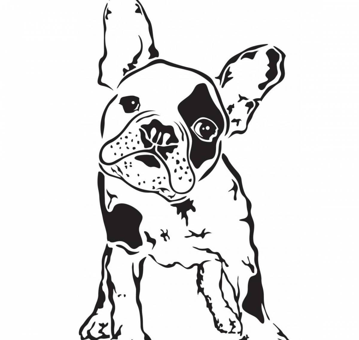 Attractive French Bulldog Coloring Page