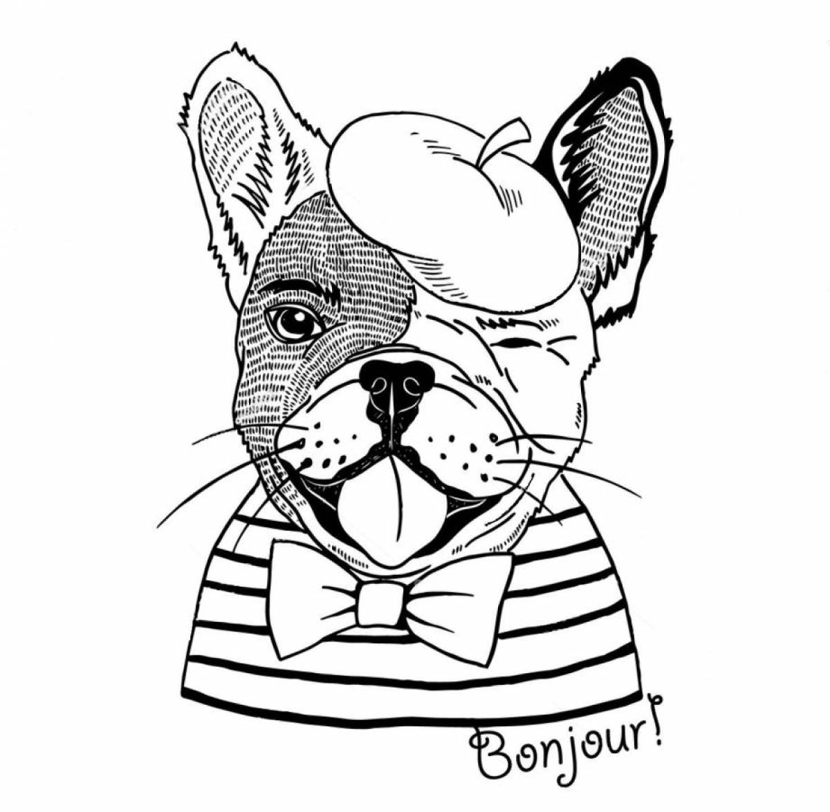 Coloring page playful french bulldog