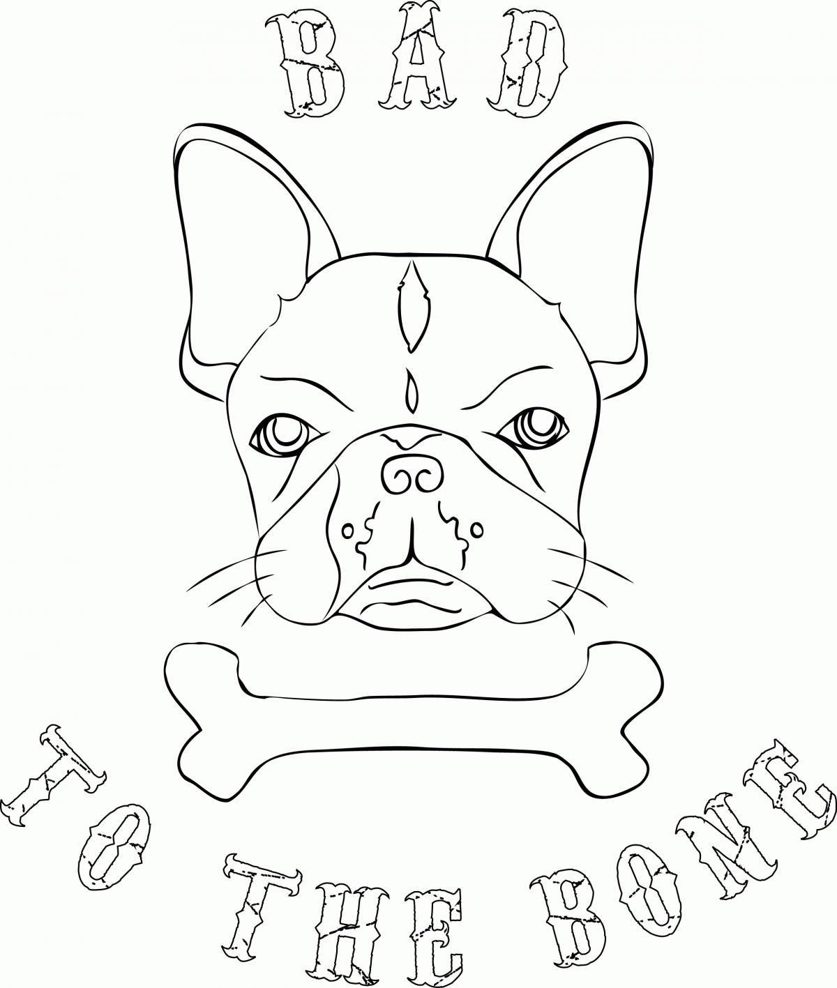 Cute french bulldog coloring book