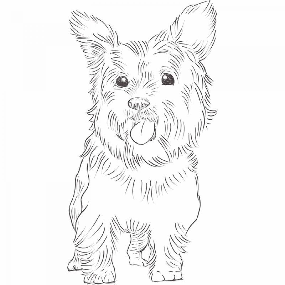 Charming yorkshire terrier coloring book