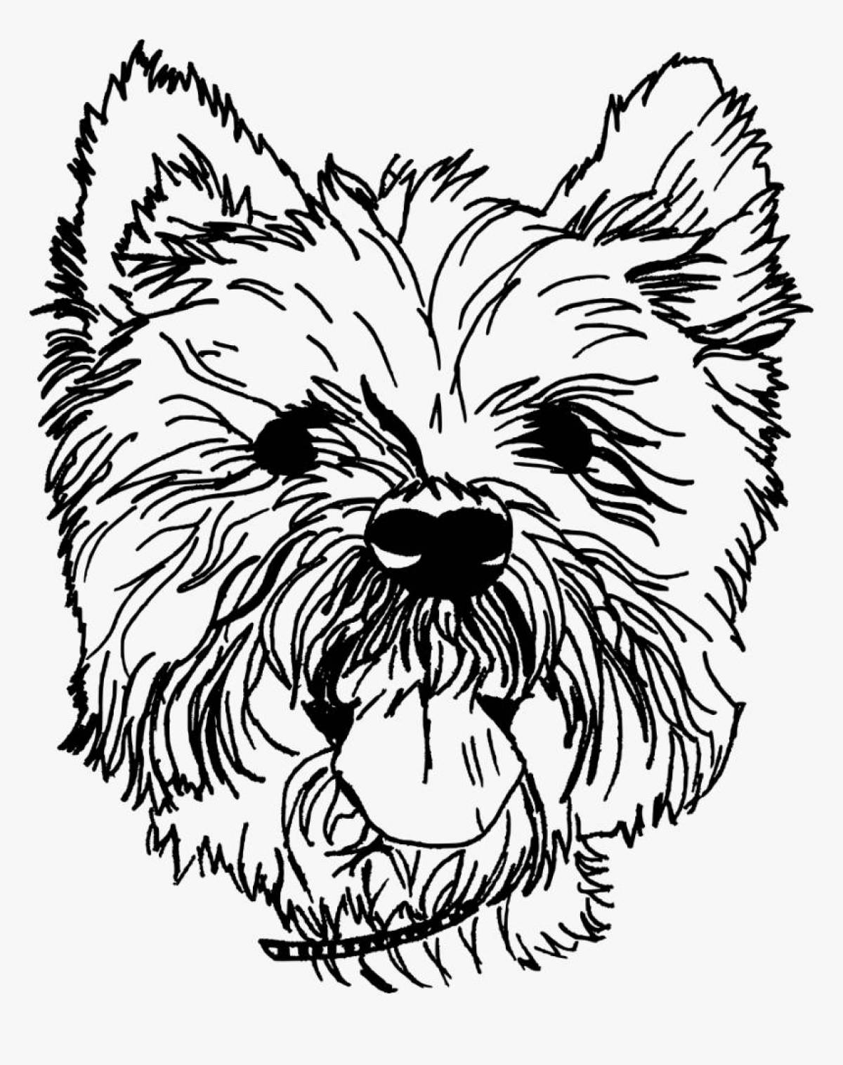 Coloring page playful yorkshire terrier