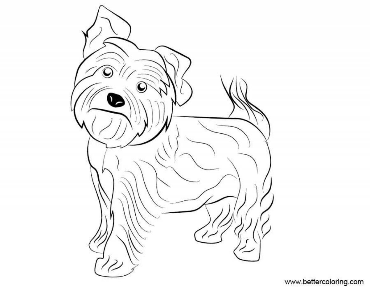 Coloring page joyful yorkshire terrier