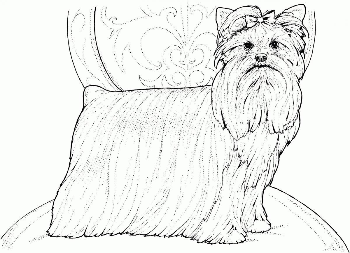 Naughty Yorkshire terrier coloring page