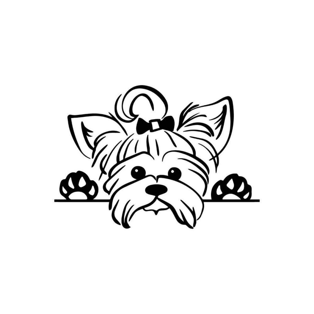 Sparkling Yorkshire Terrier coloring page