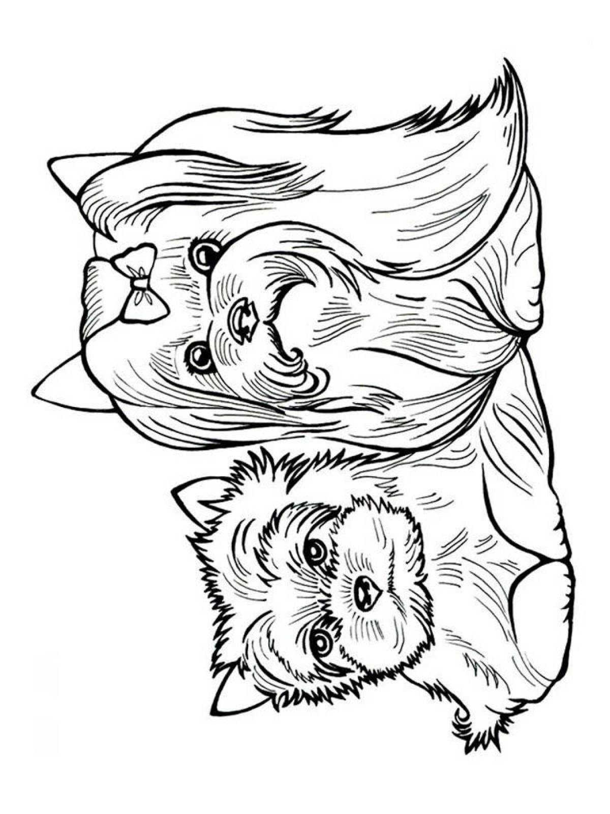 Coloring book magnetic yorkshire terrier