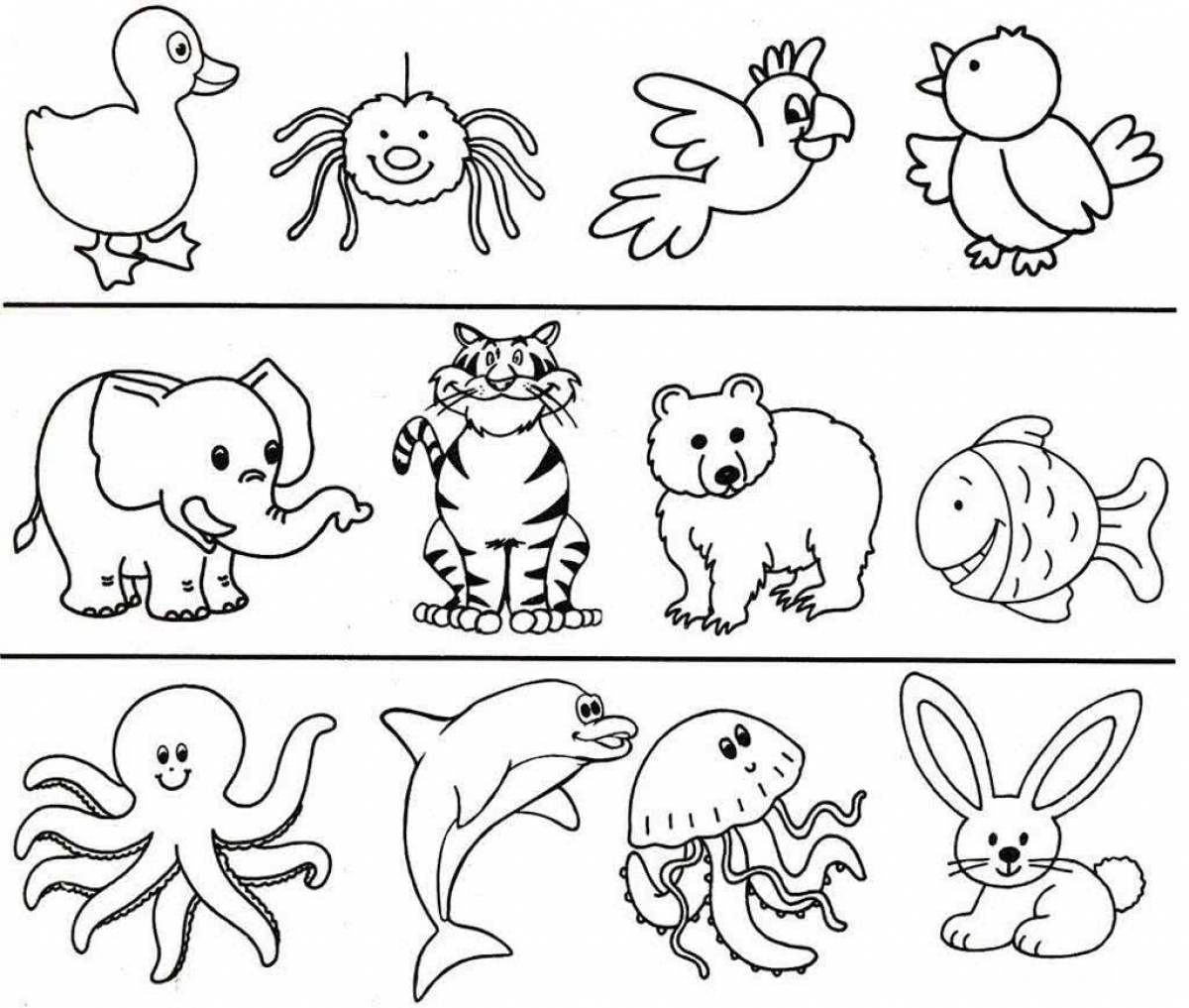 Frantic animal coloring book for 5-6 year olds