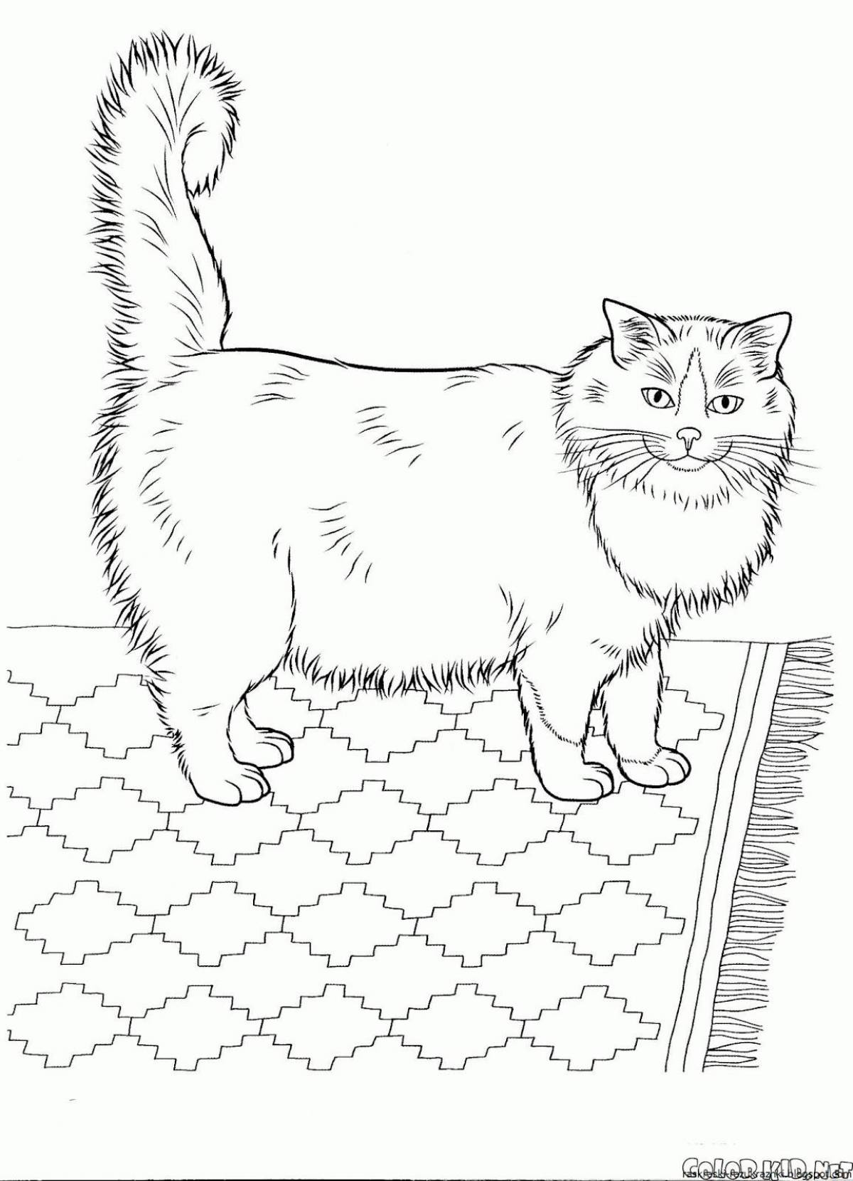 Сиамская Кошка Разукрашки