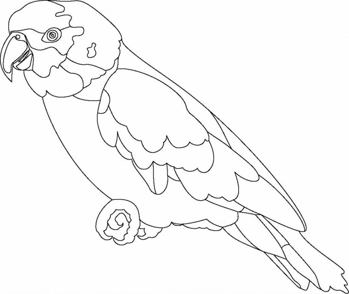 Раскраска очаровательный волнистый попугайчик