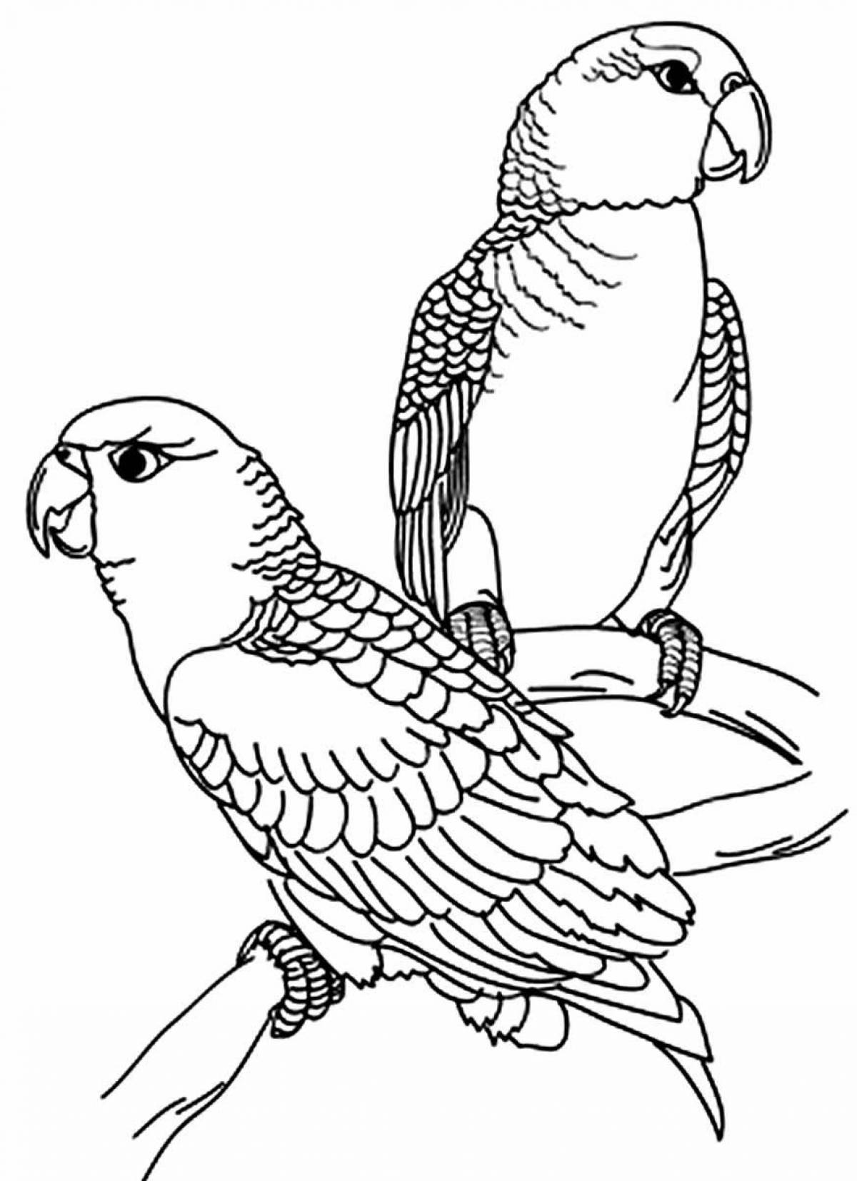 Страница раскраски с волнистым попугайчиком