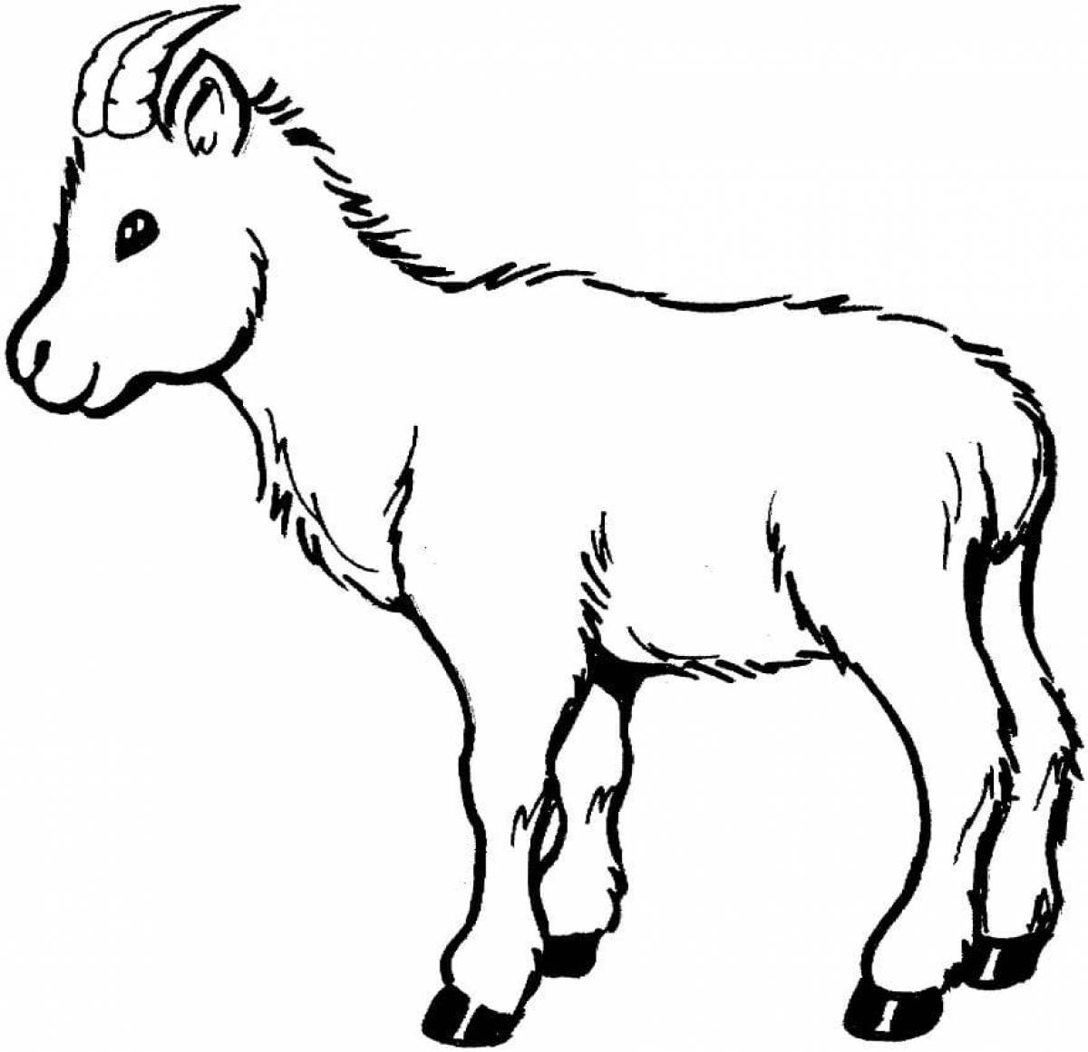 Goat #6