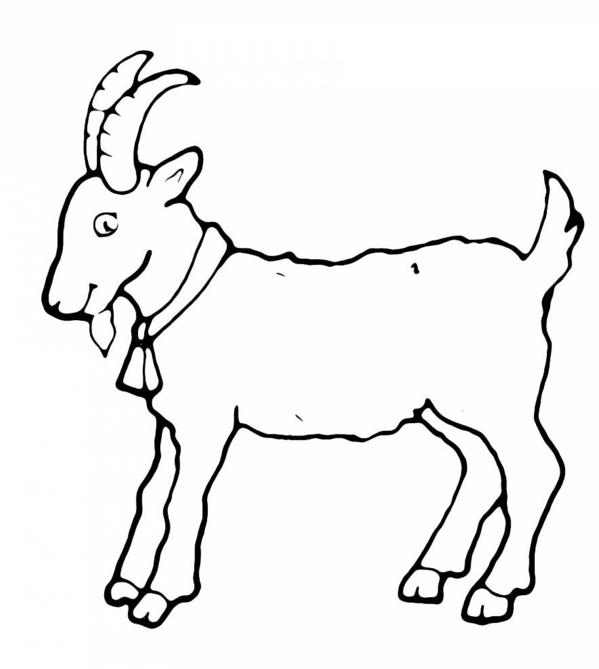 Goat #11
