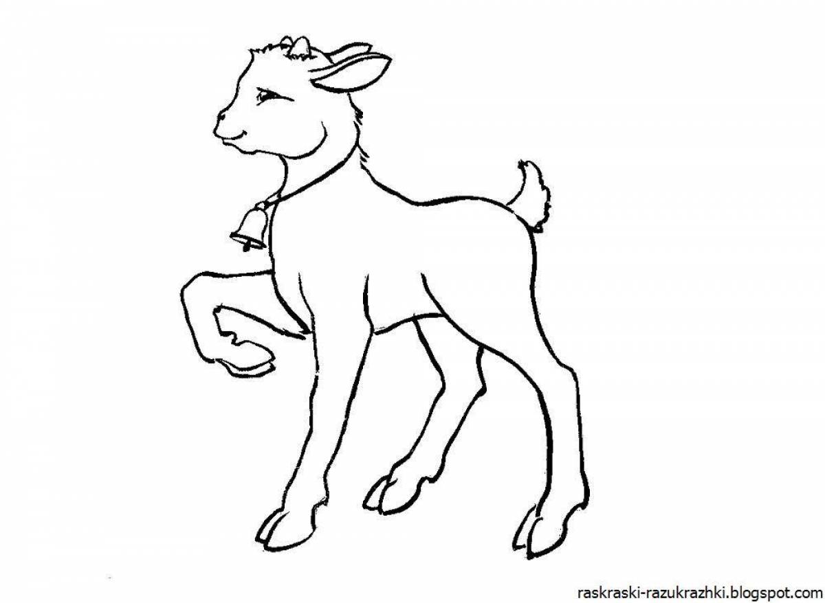 Goat #18
