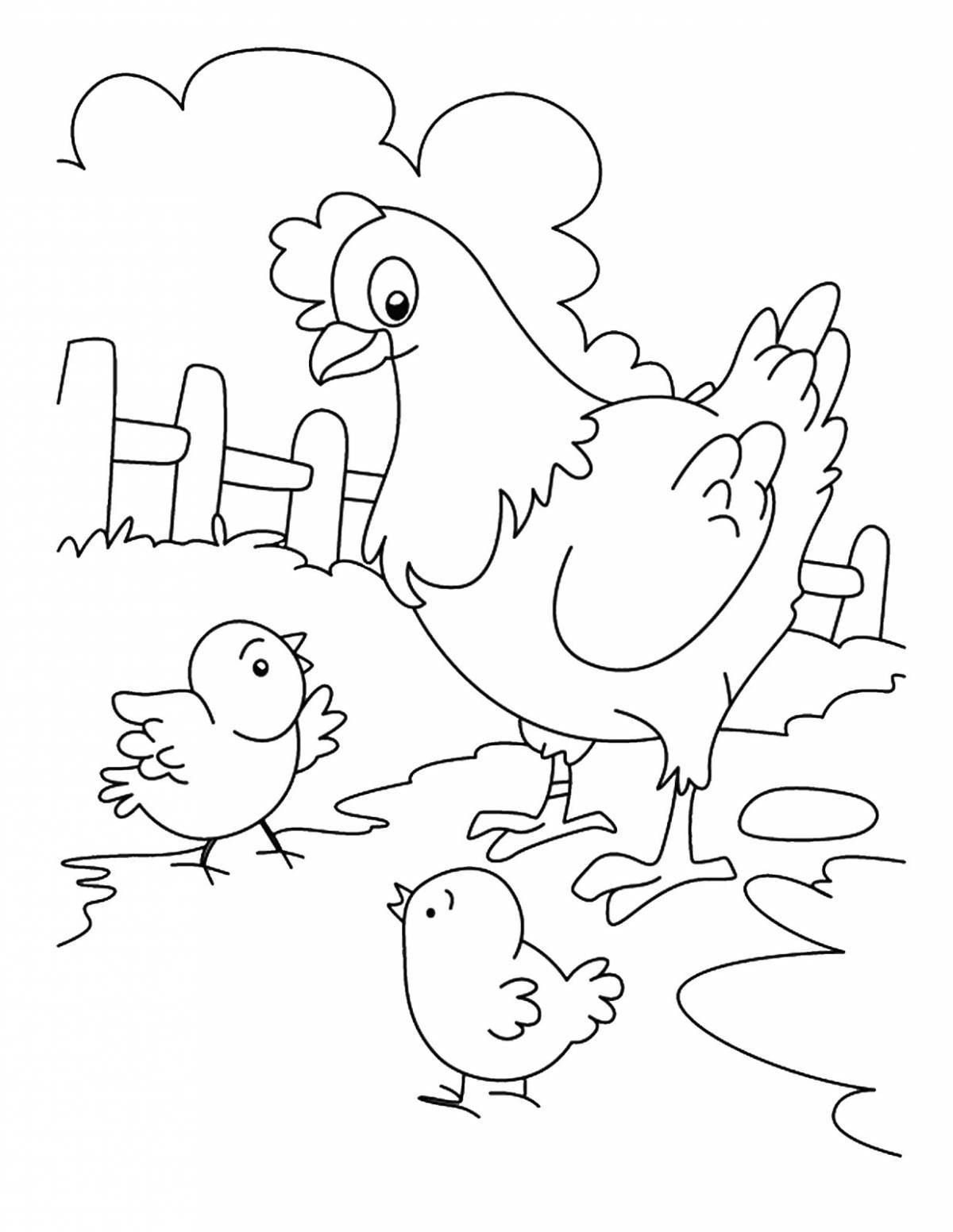 Coloring funny chicken for kids