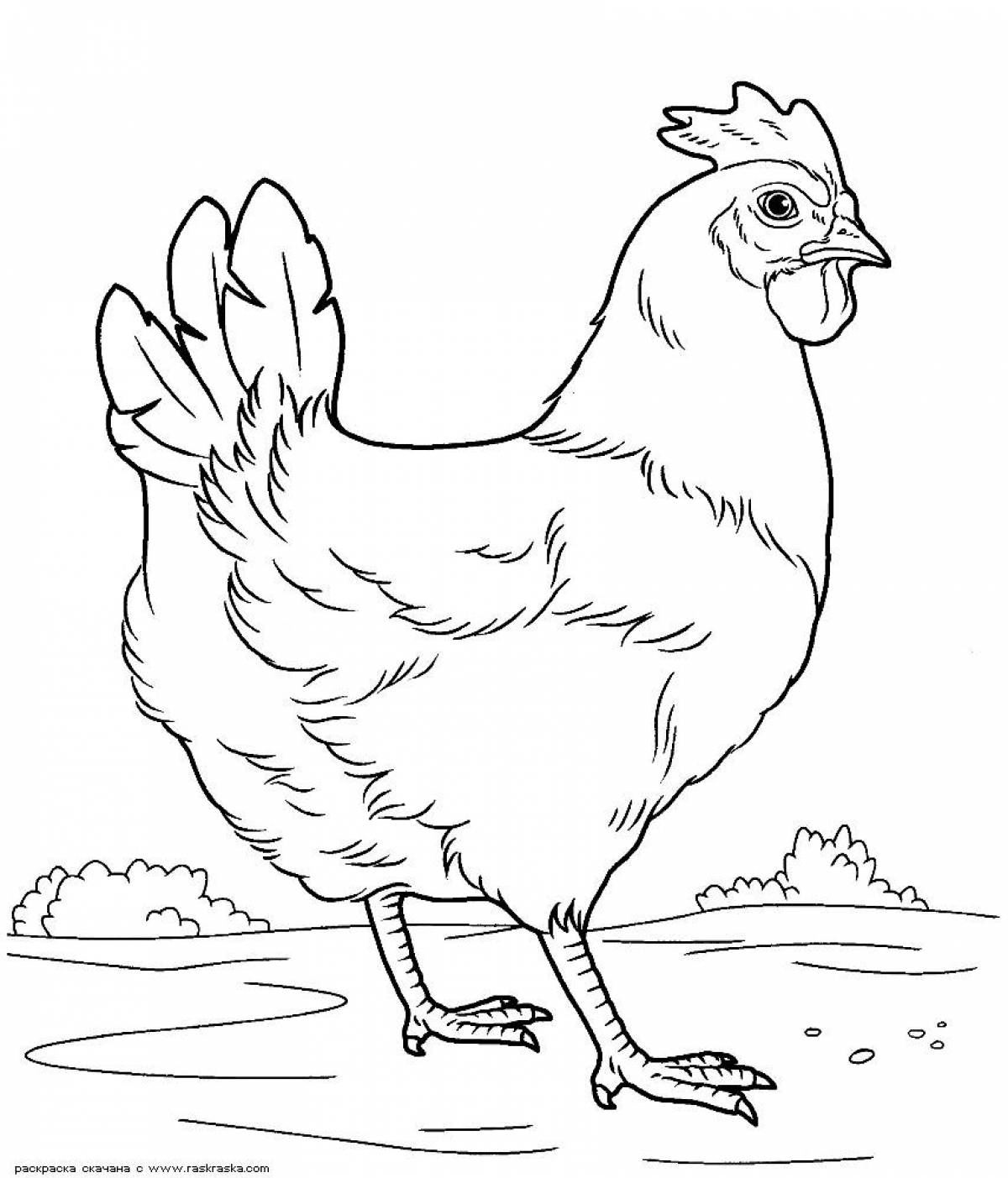 Sunny chicken coloring page for kids