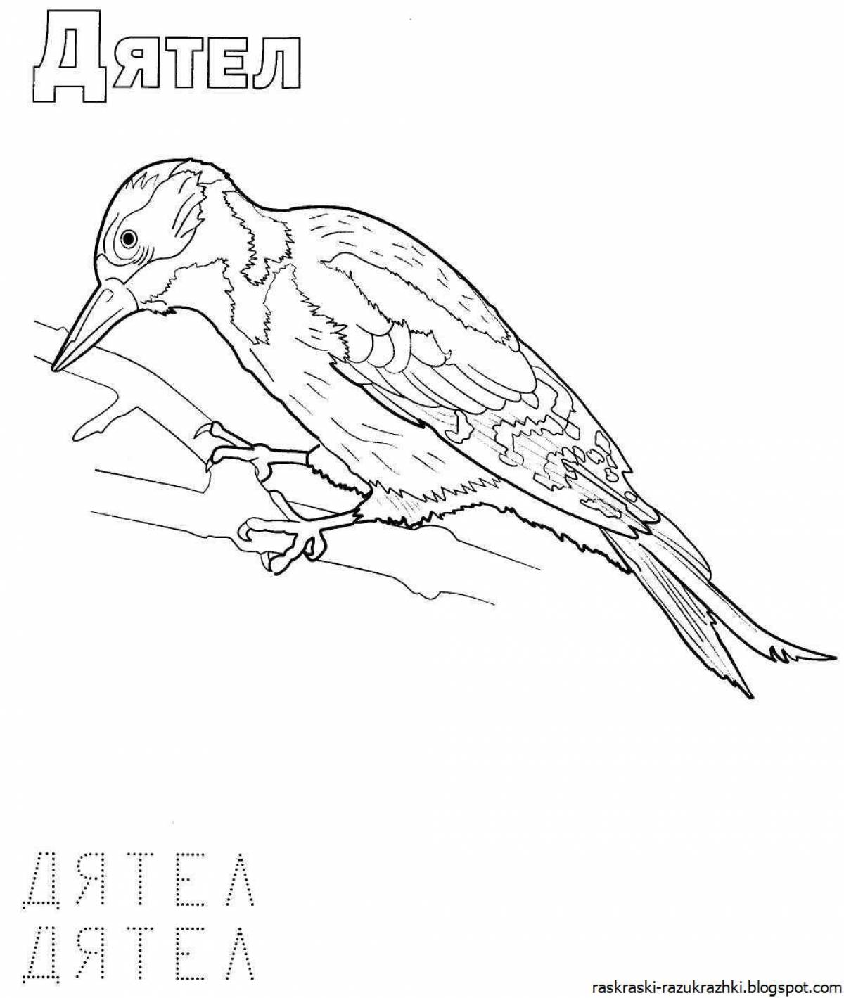 Coloring pages of wintering birds for children 3-4 years old
