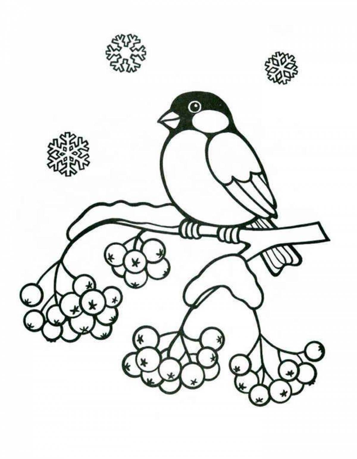 Animated coloring page of wintering birds for 3-4 year olds
