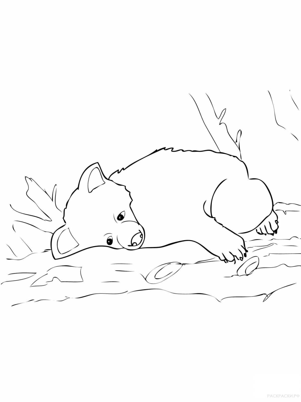 Очаровательный медвежонок в раскраске логова